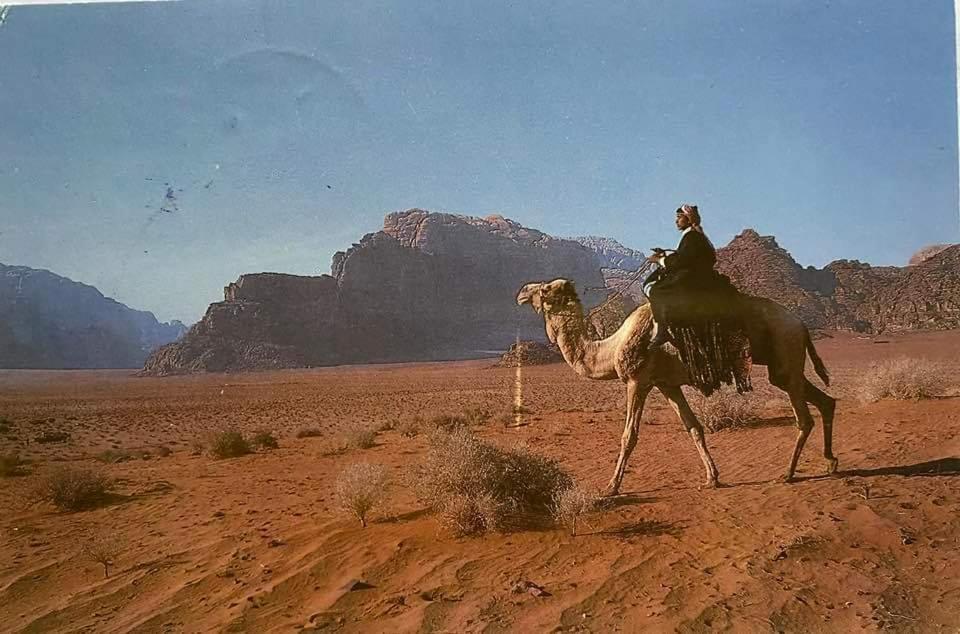 Hotel Bedouin Family Camp Wadi Rum Exteriér fotografie